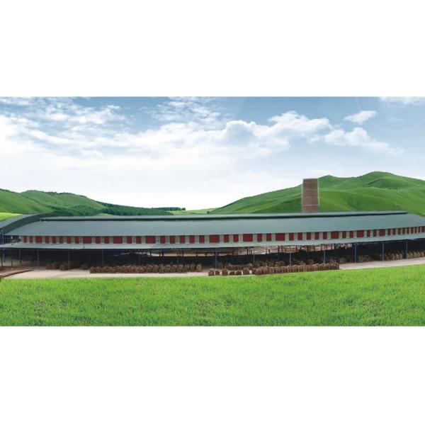 Quality 7.2M 10.8M 12.98M Brick Tunnel Kiln Environmentally Friendly And Reliable wholesale