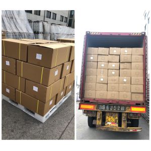 Hot Sell 150D/48F DTY Polyester Yarn NIM RW SD