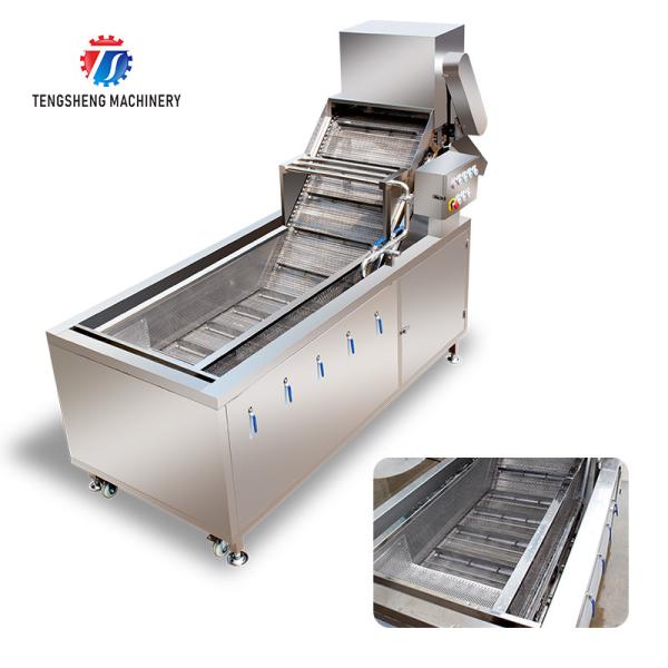 2.6KW Multi-functional fruit and vegetable bubble cleaning machine vegetable