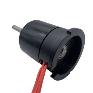 Faradyi Factory Direct Sale 12V 6699 Waterproof Brushless Motor For Underwater
