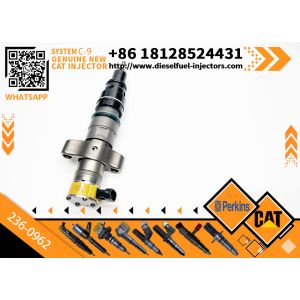 Common Rail Injector 236-0962 241-3238 263-8218 For Cat Excavator C7 Engine