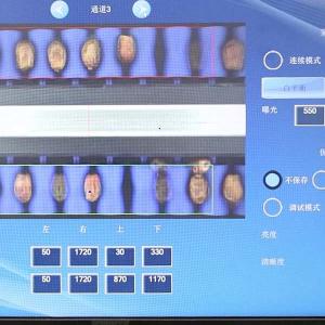 Cheap Comprehensive Defect Detection 1.4 Tons Per Hour 6-Lane Palm Dates Sorting Machine for sale