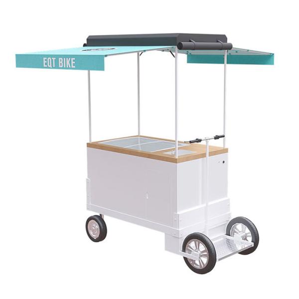 Quality High Carbon Steel Framed Tricycle With Push Handle Stationable Version wholesale