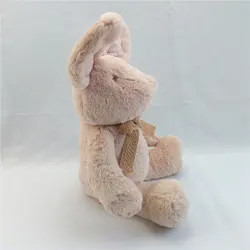 2023 New Baby Soft Rabbit Movement Toys Stuffed Animal Electronic Animal Music