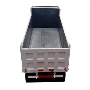 Sinotruk Howo 6x4 30 Ton Dump Tipper Truck with 2 Passenger Seats and Video