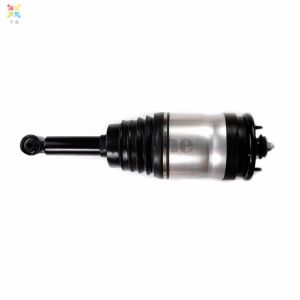 Complete rear suspension strut with shock absorber and air suspension bag for