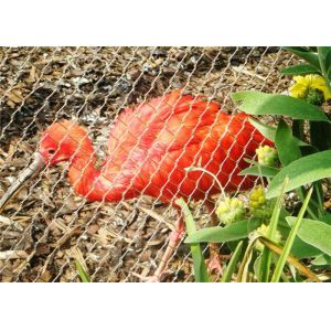 CE Approved Aviary Wire Netting with 20mm to 50mm Mesh Opening and 2.0mm Wire