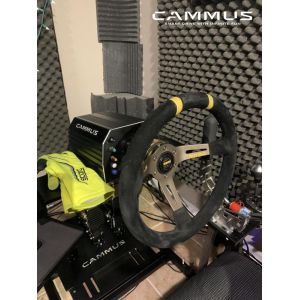 Racing Car Gaming Driving Simulator with Wheel And Pedals Sim Stand