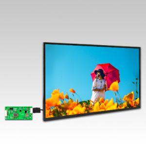 Industrial High Brightness LCD Panel Display , 1280*800 10.1" TFT LCD Panel