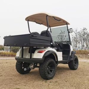 Pointed Two-Seater White Electric Golf Dump Truck Can Be Customized With Color
