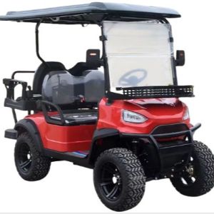 Customizable 4-Seater Electric Utility Golf Cart Lithium Battery Golf Buggy for