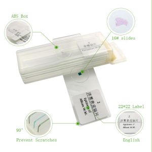 School Students Learning 5pcs Histology Glass Slides In Plastic Box