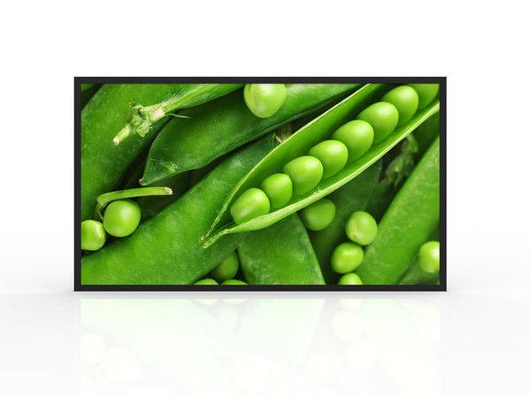 32 Inch 3000cd/m2 High Brightness IP66 Waterproof Outdoor Digital Signage with 178° Viewing Angle and 60Hz Refresh Rate