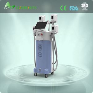 Lipo Cryo Cryotherapy Fat Freezing Cryolipolysis Machine For Salon Use