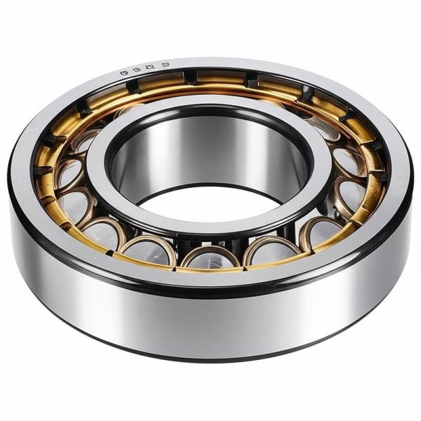 Grease Lubricated Double Row Cylindrical Roller Bearing for Corrosion Resistance