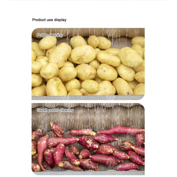 380KG Stainless steel roller cleaning machine, ginger, taro, lotus root, cleaning and peeling machine