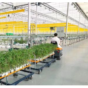 Single or Multi Span Juxiang Dual-Layer Film Greenhouse for Flower Production Green