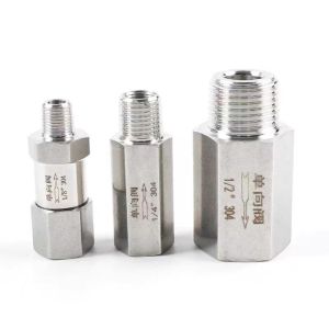 BSPP Thread 1/2 Inch Female and Male Non Return Valve CF8 for Customization