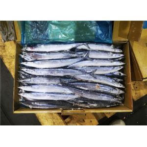 #1 Whole Round Pacific Ocean Saury Frozen Sea Fish