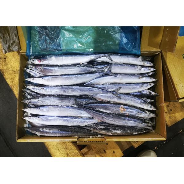 Quality #1 Whole Round Pacific Ocean Saury Frozen Sea Fish wholesale