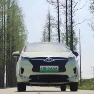 Electric Hatchback F10 Supports Fast Charging with Five Seats Big Space