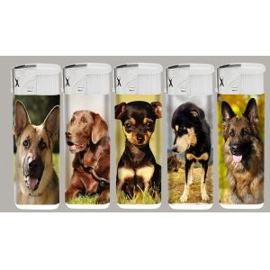 Plastic Refillable Flint Gas Lighter with Transparent Design and ISO9994