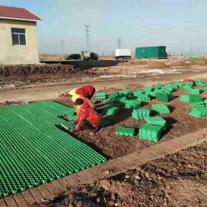Black Green HDPE Plastic Grass Paver Grid for Parking Lot Planting Durable and