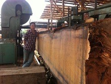 Vertical band sawmill with CNC carriage automatic wood cutting machine