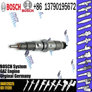 Diesel Injector 0445120325 0445 120 325 0 445 120 325 For Common Rail Injector