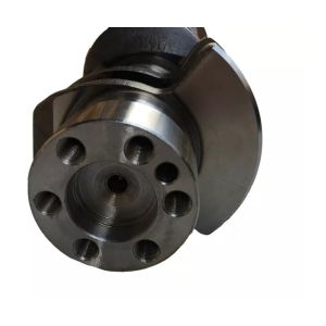 6BD1T Crankshaft 5-12310-151-0 1-12310-437-0 1-12310-407-0 5123101510 For ISUZU