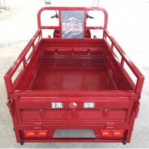 Pedal 1.0m*3.1m 110cc 3 Wheel Trike Moped