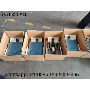 A12E Frame Digital Carbon Steel Platform Scale With Weighing Indicator Platform