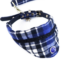 Neoprene Harness Leash Set Metal Buckle Runing Luxury Dog Collars