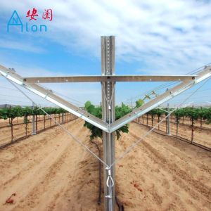 Open Grape Manor Vineyard Trellis Systems Reduced Installation And Setup Costs