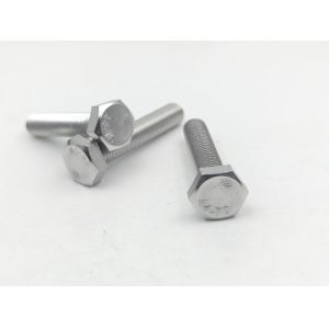 China Grade 8.8 Stainless Steel Bolts with Polish Finish and NPT Thread Type on sale
