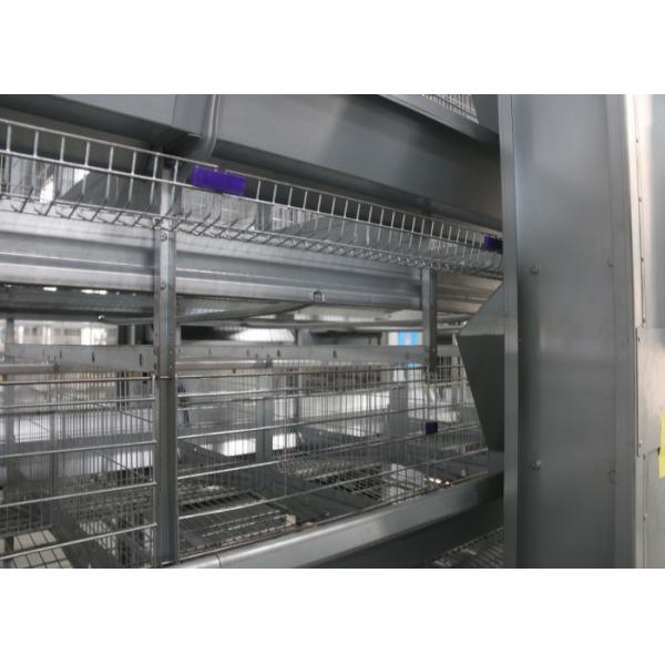Quality Hot Galvanized Full Automatic Poultry Feeder System Anti - Perching wholesale