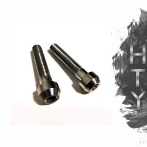 Grade 5 Ti6Al4V Titanium Motorcycle Parts Titanium Torx Socket Head Screw M6x10