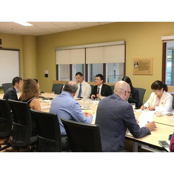 3110mm Wheelbase Left Turn Hongqi Limousine EV Cars Version E-HS9 Suv Energy Electric Vehicles Cars