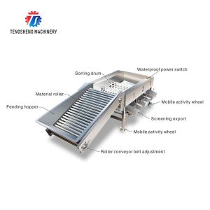 Automatic Citrus Apple Grading Machine Potato Sorting Equipment Food Processor