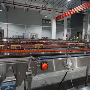 Fully Automatic Drop Type Wrap Around Case Packer with Mechanical Stretch for