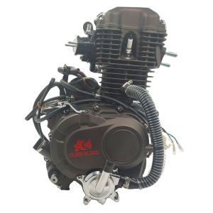China Max.Power 10.2/8000 Gasoline Tricycle Engines Assembly from DAYANG for Chinese Motorcycles on sale