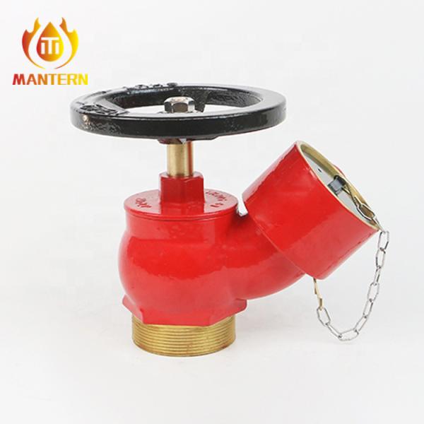 Quality 2.5" BSP Male Brass Or LG2 Fire Hydrant Screw Oblique Type Landing Valve wholesale