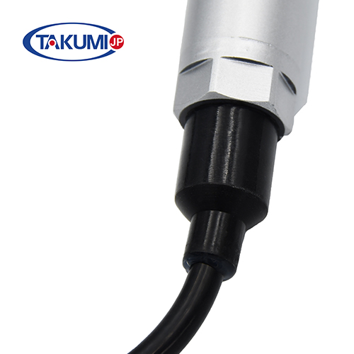 1234-4096 1245-3562 1234-3055 1231-9475 1234-2668 Spark Plug For Generator Engines MWM TCG20