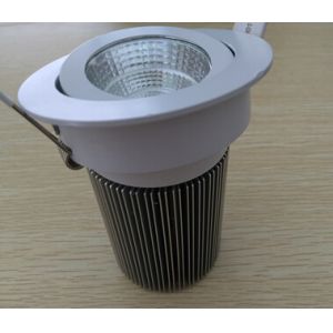 Cheap Ceiling led downlight resort hotel use for sale