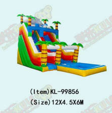 Aldult Outdoor Rental Inflatable Large Water Slides With Bouncy