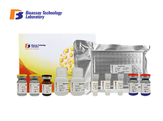Customized Human ECP Sandwich ELISA Kit High Specificity Eosinophil Cationic