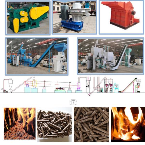 10TPH Biomass Pellet Production Line Eucalyptus Pine Birch Wood Chip Pellet