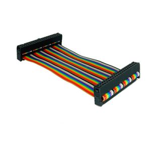 Custom 2.54mm 12 Pin Ribbon Cable IDC Socket UL2651 28AWG Flat Wire Assembly