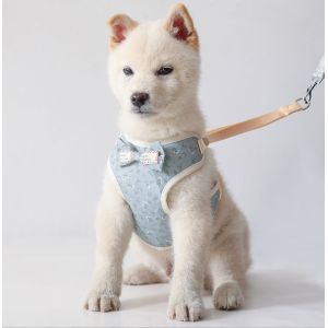 Soft No Pull Adjustable Breathable Mesh Leash And Cat Chest Harness For Puppy