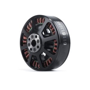 8118 EEE Brushless DC Motor 100KV